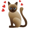 Adorable Siamese Cat Sticker