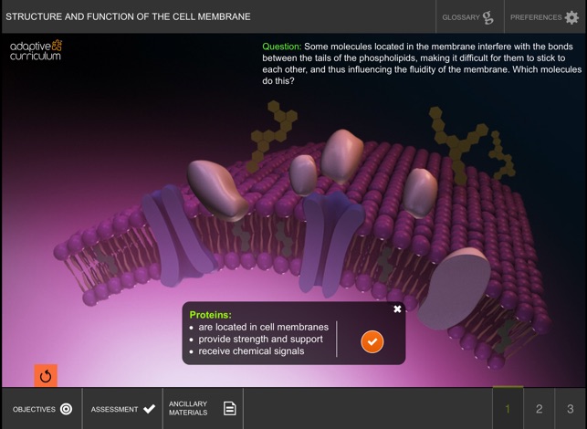 Cell Membrane(圖2)-速報App