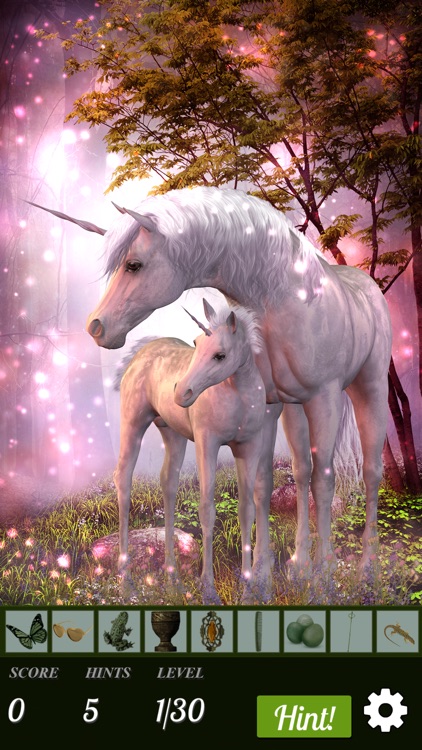 Hidden Object - Unicorns Illustrated screenshot-3