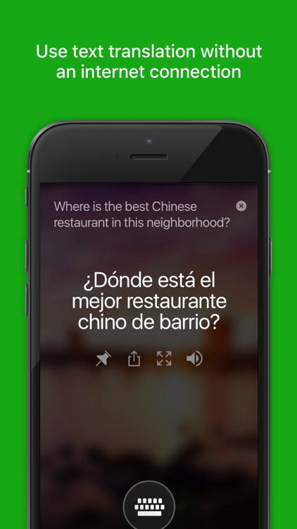 Microsoft Translator screenshot-0