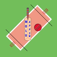 Cricket Fever Challenge Arcade Timekiller