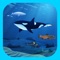 Sequel to the award-winning educational game – iBiome-Wetland, with more features and more content