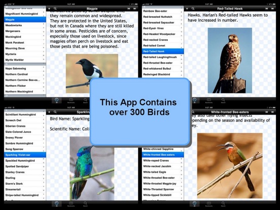 Birds Encyclopediaのおすすめ画像4