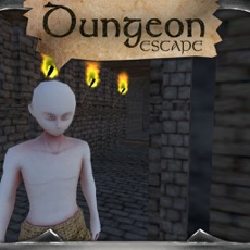 Activities of Dungeon Escape - 3D Labyrinth Maze