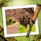 Turn your favorite photos into eye catching wood block prints with this effects app