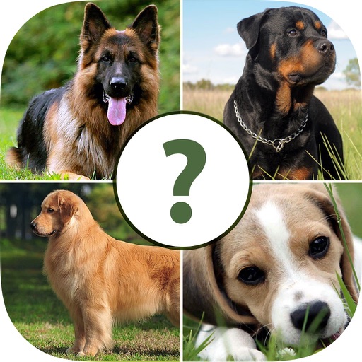 Pups Pet Trivia – The Dog Lovers Quiz Pro Icon