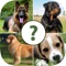 Pups Pet Trivia – The Dog Lovers Quiz Pro
