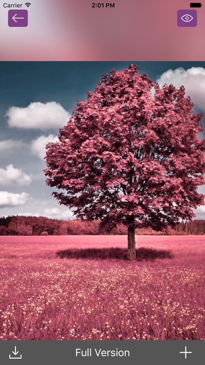 Spring Wallpaper - Nature Wallpapers & Backgrounds