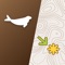 Chimani helps you plan, navigate, discover and socialize on your next national park adventure