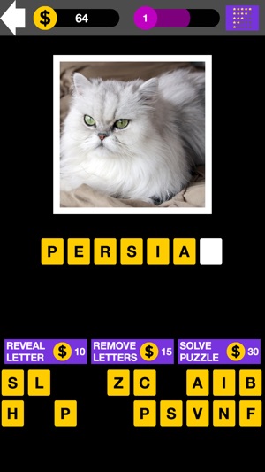 Domestic Cat Breed Quiz Maestro(圖3)-速報App