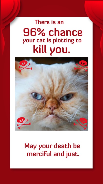 Is your cat plotting to kill you?