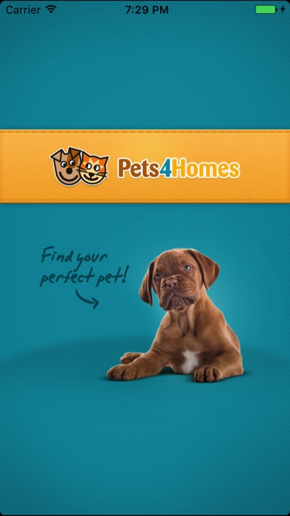 Pets4Homes