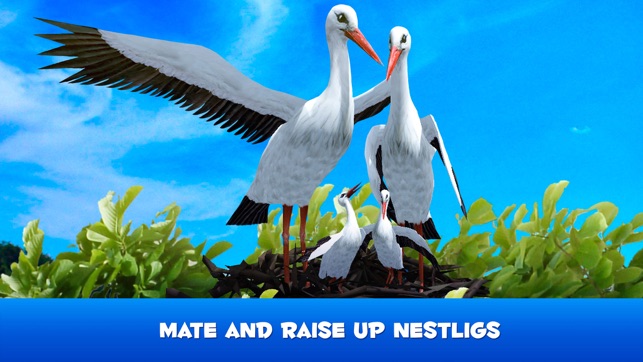 Stork Simulator 3D: Flying Bird Life(圖3)-速報App