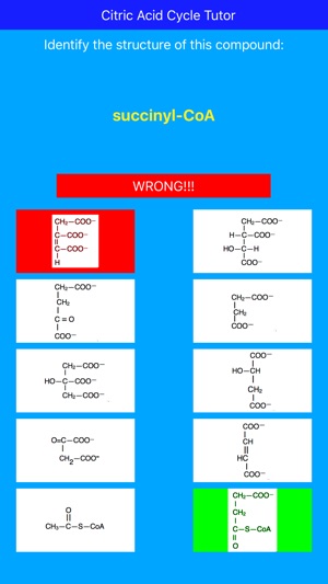 Citric Acid Cycle Tutor(圖2)-速報App