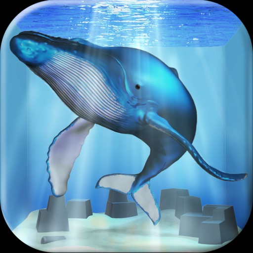 Healing Whale Life Simulation Game