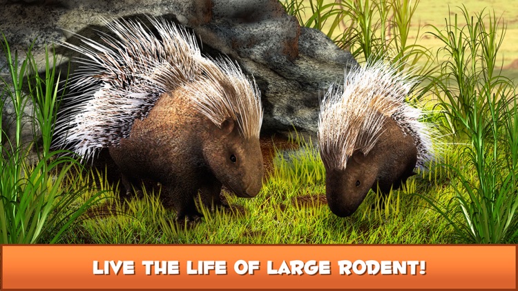 Porcupine Forest Life Simulator