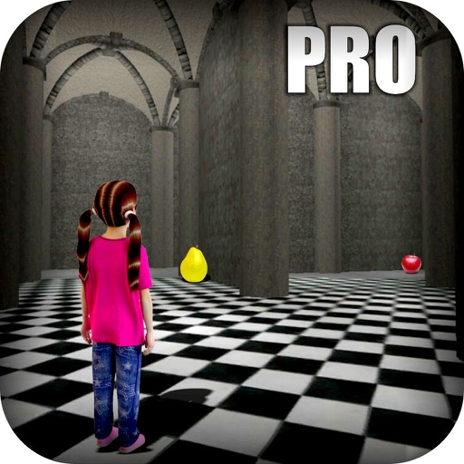 Girl Maze Puzzle Object Finding Pro