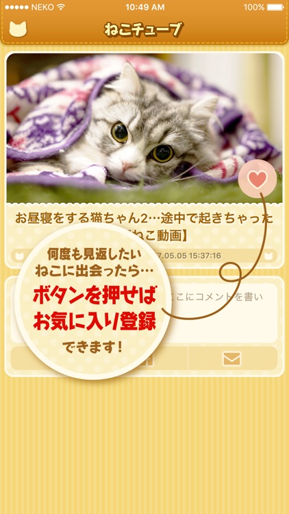 CatTube -Cat video app-