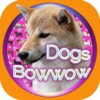 Dogs Quiz Bowwow Touch : Simple Game with 109 Dogs