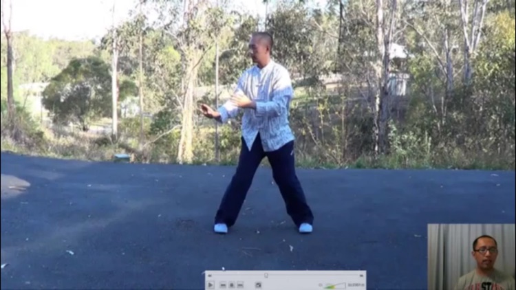 Tai Chi Master Class screenshot-3