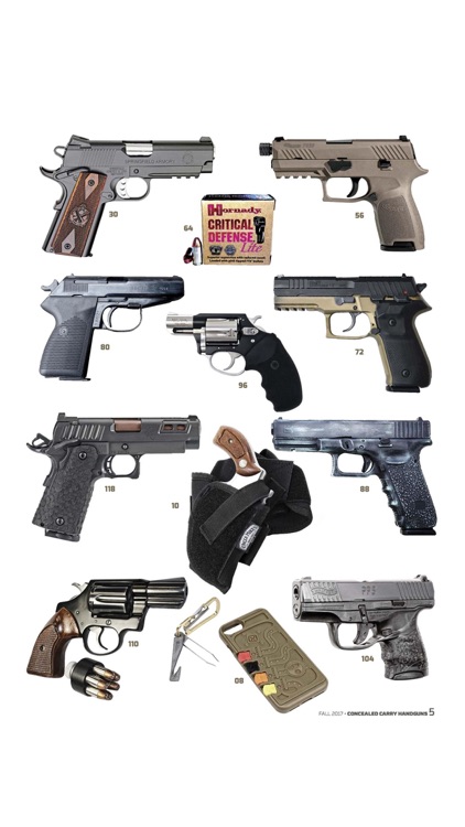 Conceal & Carry