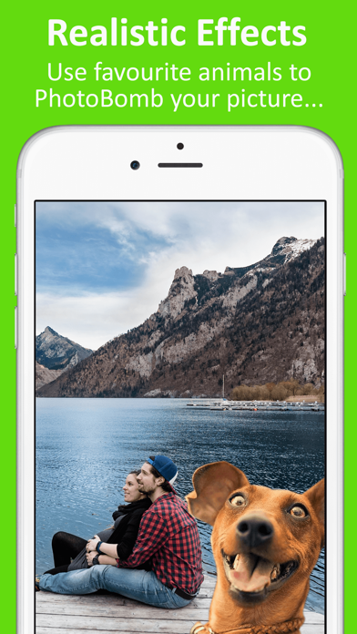 How to cancel & delete Stick2Me-Animals Photobomb Fun from iphone & ipad 3