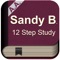 12 Step Study by Sandy B