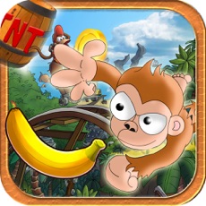 Activities of Jungle Monkey 2