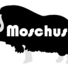Moschus