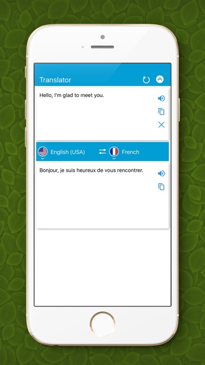 Pro ComboBox - Translator