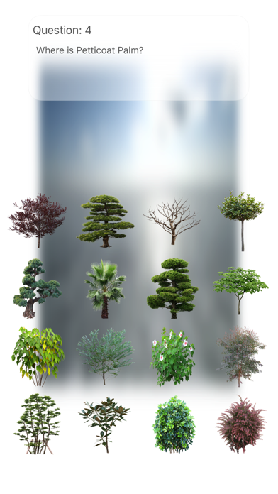 Trees Quiz Touch :: T... screenshot1