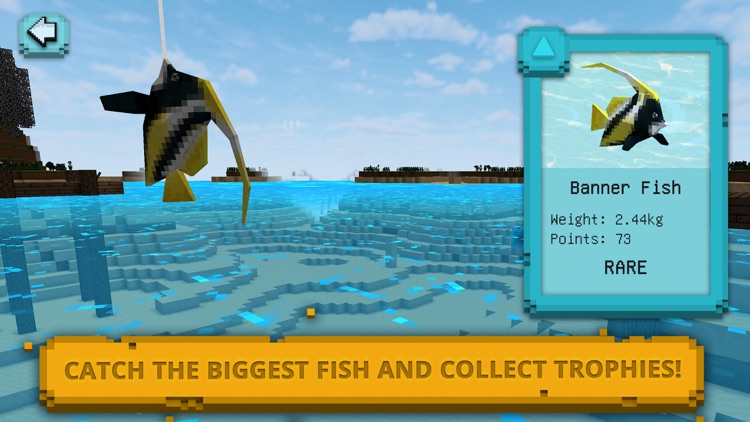 Square Fishing: Biggest Catch