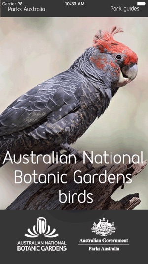 ANBG Birds