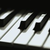 Learn To Play The Piano