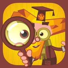 Activities of Childrens Quest & Brain Logic