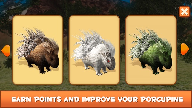 Porcupine Forest Life Simulator(圖4)-速報App