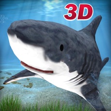 Activities of White Shark Simulator 3D