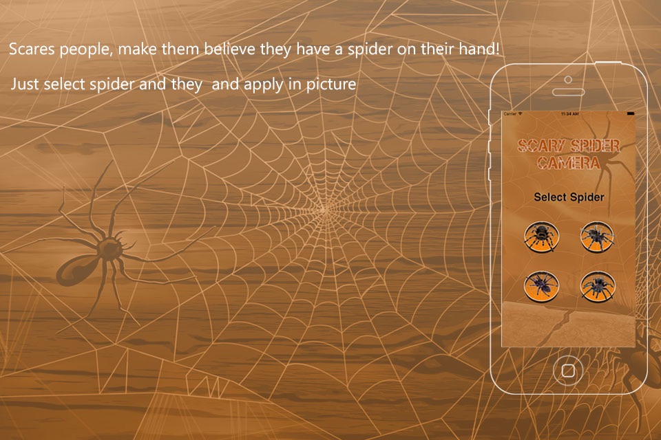 Spider Scare Prank - Magic Spider screenshot 3