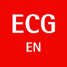 ECG pocket