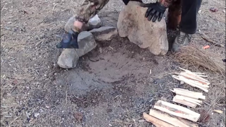 Camping - A Survival Guide