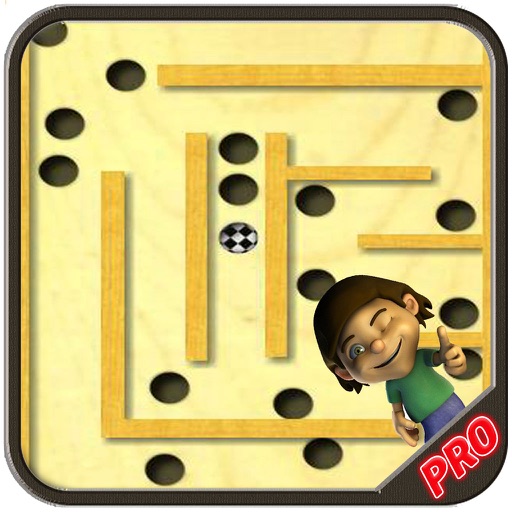 Rolling The Maze Ball Pro - Puzzle Game icon