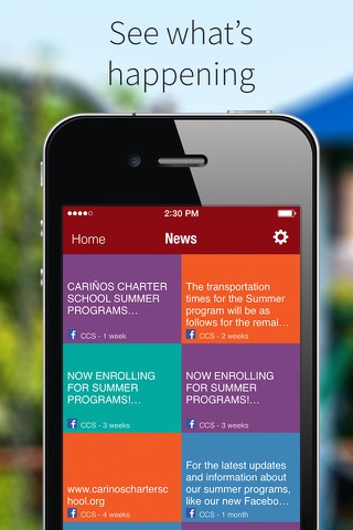 Carinos Charter School screenshot 4