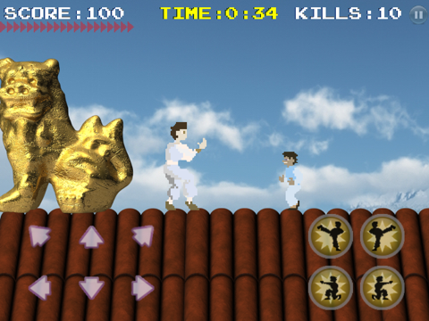 Karate Fighter - náhled