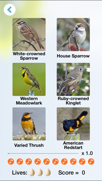 Chirp! Bird Songs USA + screenshot-4