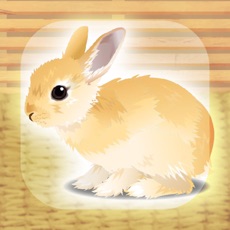 Activities of Virtual Therapeutic Rabbit Pet