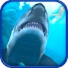 Shark Tank 2017 Shark Games