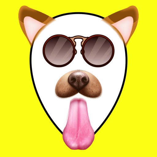 Fun FaceApp Photo Filters with Face Swap Effects
