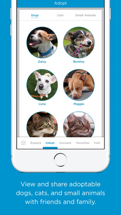 Wallis Annenberg PetSpace App