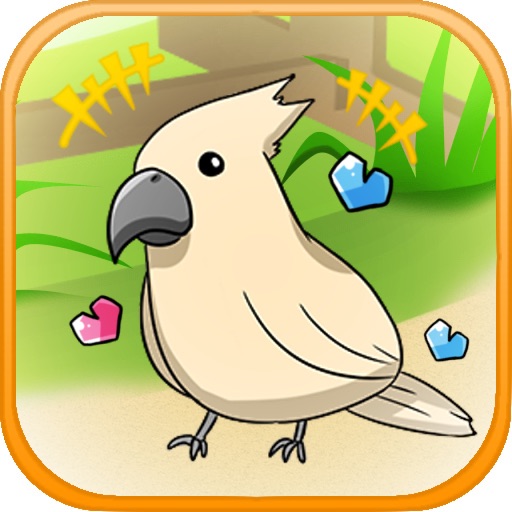 birdwatch ~healing-game~ icon