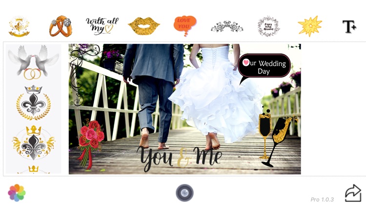 Wedding Splash Pro screenshot-4